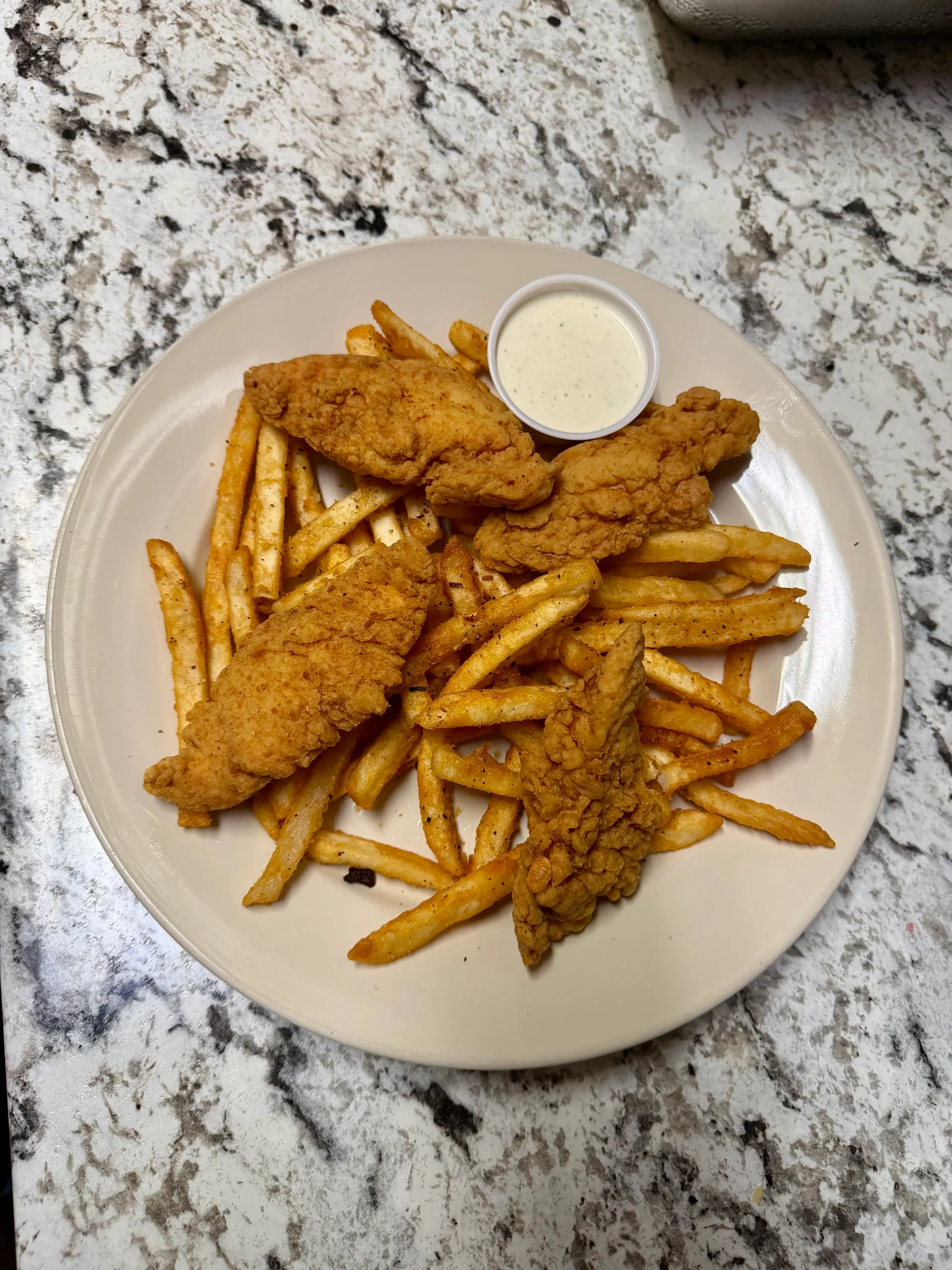 Chicken Strips and Fries